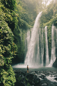 Scenic view of waterfall in forest