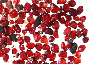 High angle view of berries on white background