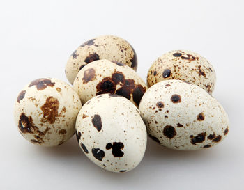 Close-up of cookies against white background