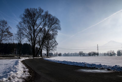 Bare trees against sky during winter