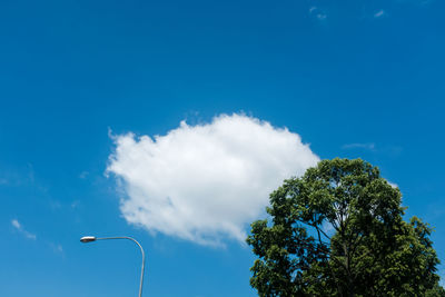 Low angle view of street light against sky