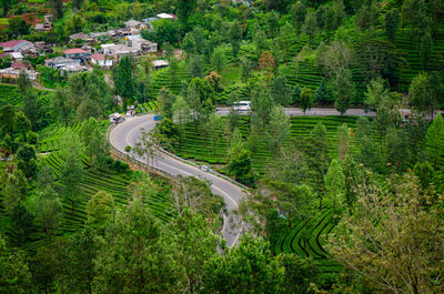 High angle view of road amidst trees in forest