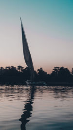 Silhouette tree by sea against clear sky during sunset