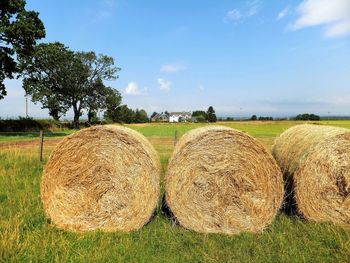 Hay bales on field