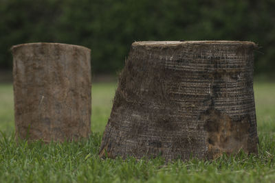 Close-up of old tree stump on field