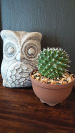 Close-up of potted plant on table