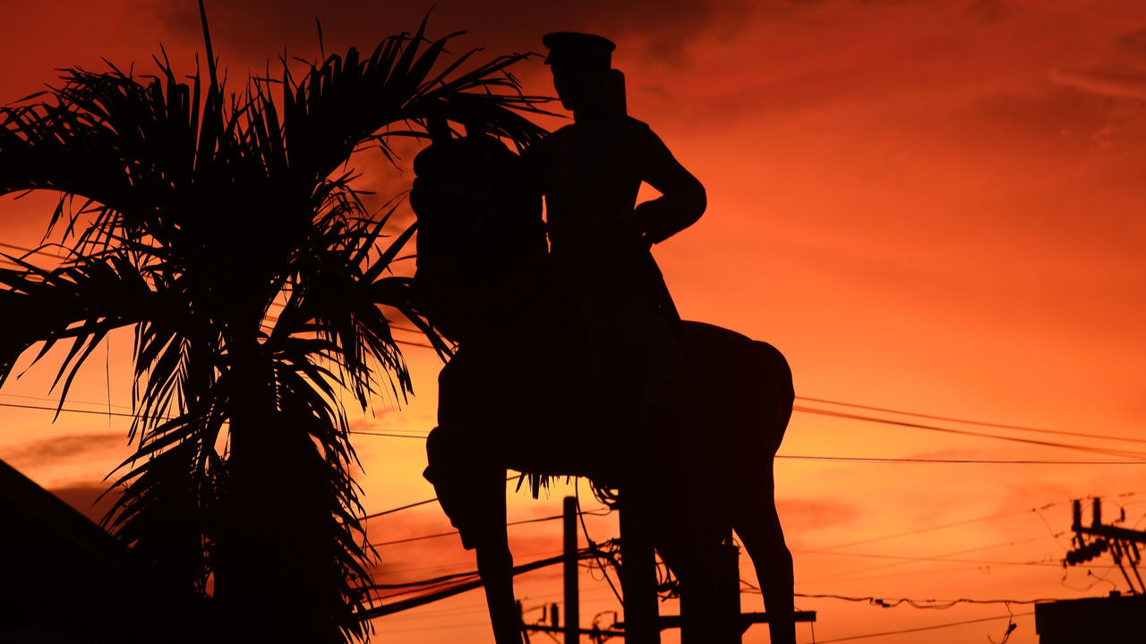 SILHOUETTE MAN STANDING BY PALM TREES AGAINST ORANGE SKY