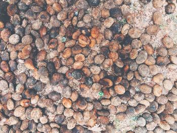 Full frame shot of stones