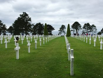 Trees on grassy field against cloudy sky