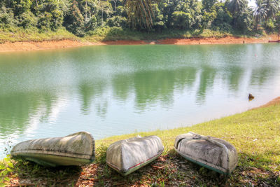 Scenic view of lake by trees