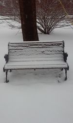 Close-up of bench in winter