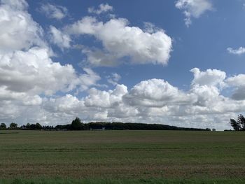 Scenic view of field against sky