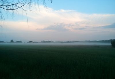 Scenic view of field against sky during sunset