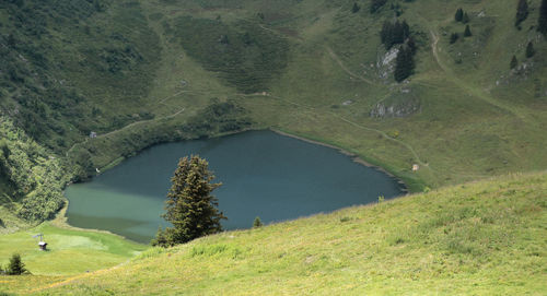 High angle view of lake amidst trees