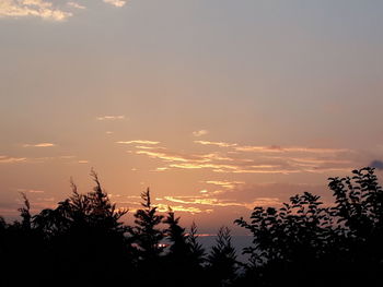 Silhouette trees against sky during sunset