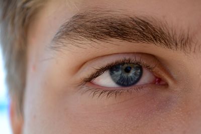 Close-up of human eye