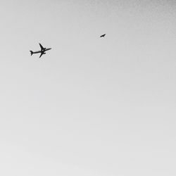 Low angle view of airplane flying against clear sky