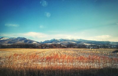 Scenic view of field against sky