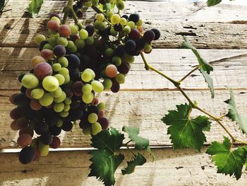 High angle view of grapes on table