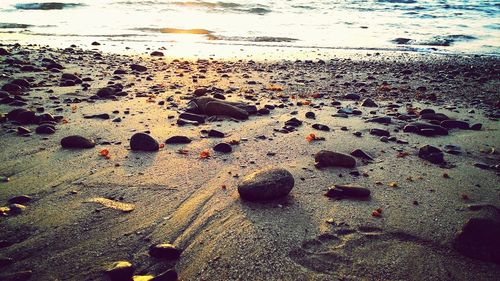 Scenic view of beach