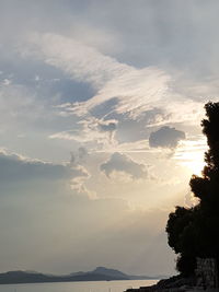 Scenic view of tree against sky