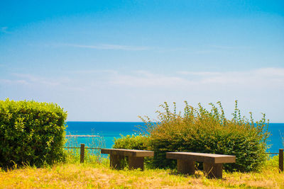 Plants growing on field by sea against sky