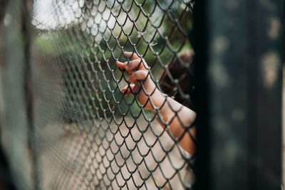 Close-up of hand holding chainlink fence