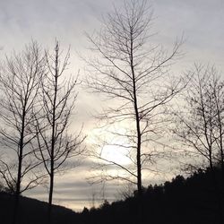 Low angle view of bare trees against sky