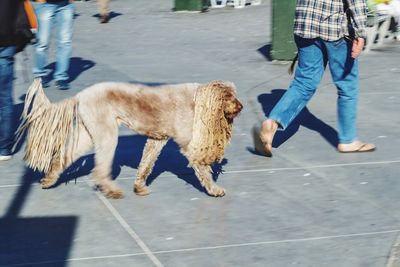 Full length of woman running