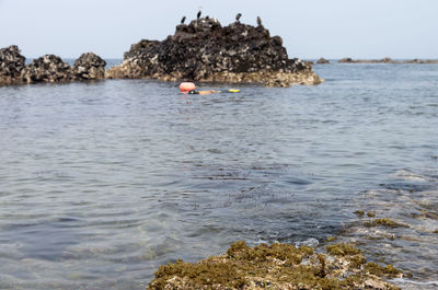 Scenic view of sea against clear sky