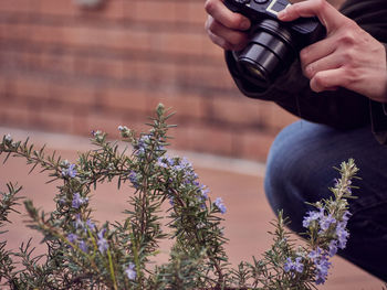 Cropped image of woman photographing purple flowers