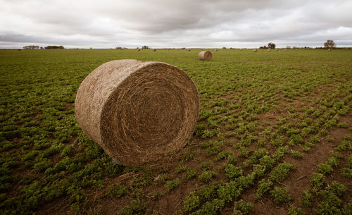 Hay bales on field against sky