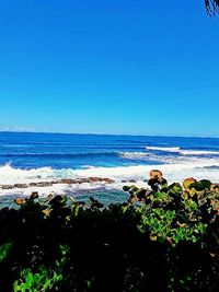 Scenic view of beach against clear blue sky