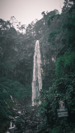 Scenic view of waterfall in forest against sky