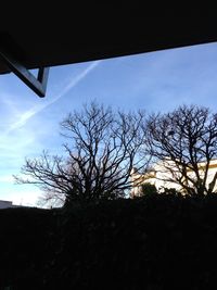 Low angle view of silhouette bare trees against sky