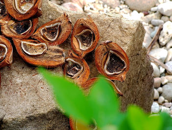 Close-up of rusty metal on rock