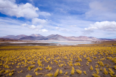 Scenic view of landscape and mountains against cloudy sky