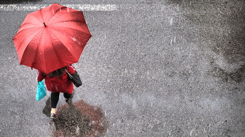 Person holding umbrella walking on wet street during rainy season