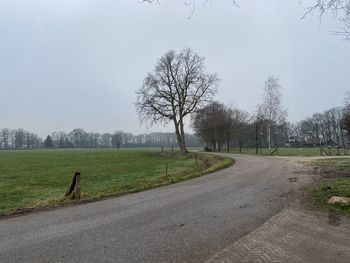 Road amidst trees on field against sky