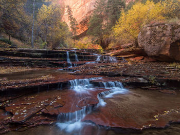 Scenic view of waterfall in forest