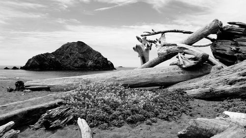 Scenic view of rocky beach against sky