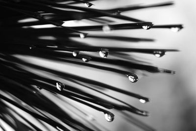 Close-up of water drops on glass