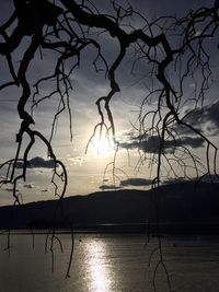 Silhouette tree by lake against sky during sunset