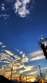 Low angle view of silhouette trees against sky during sunset