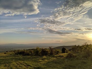 Scenic view of field against sky during sunset