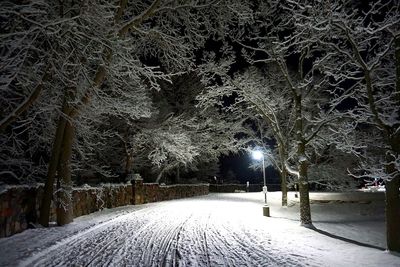 Snow covered street amidst trees during winter at night