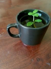 Close-up of drink on table