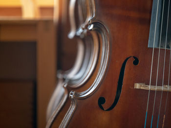 Close-up of violins in store