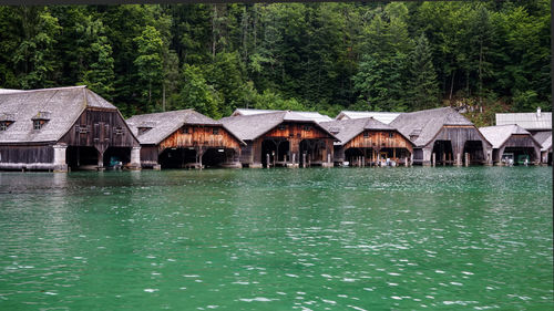 Houses by lake and trees in forest