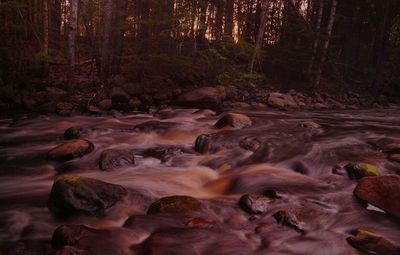 Scenic view of waterfall in forest